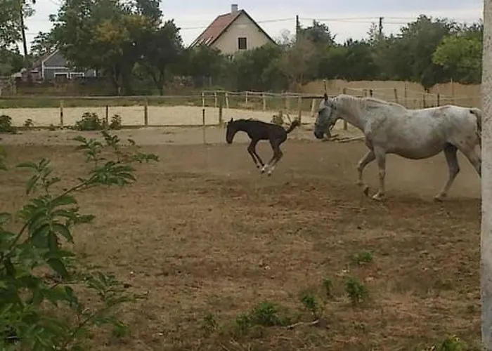 בית נופש Hetkanyar Vendeghaz By Interhome *